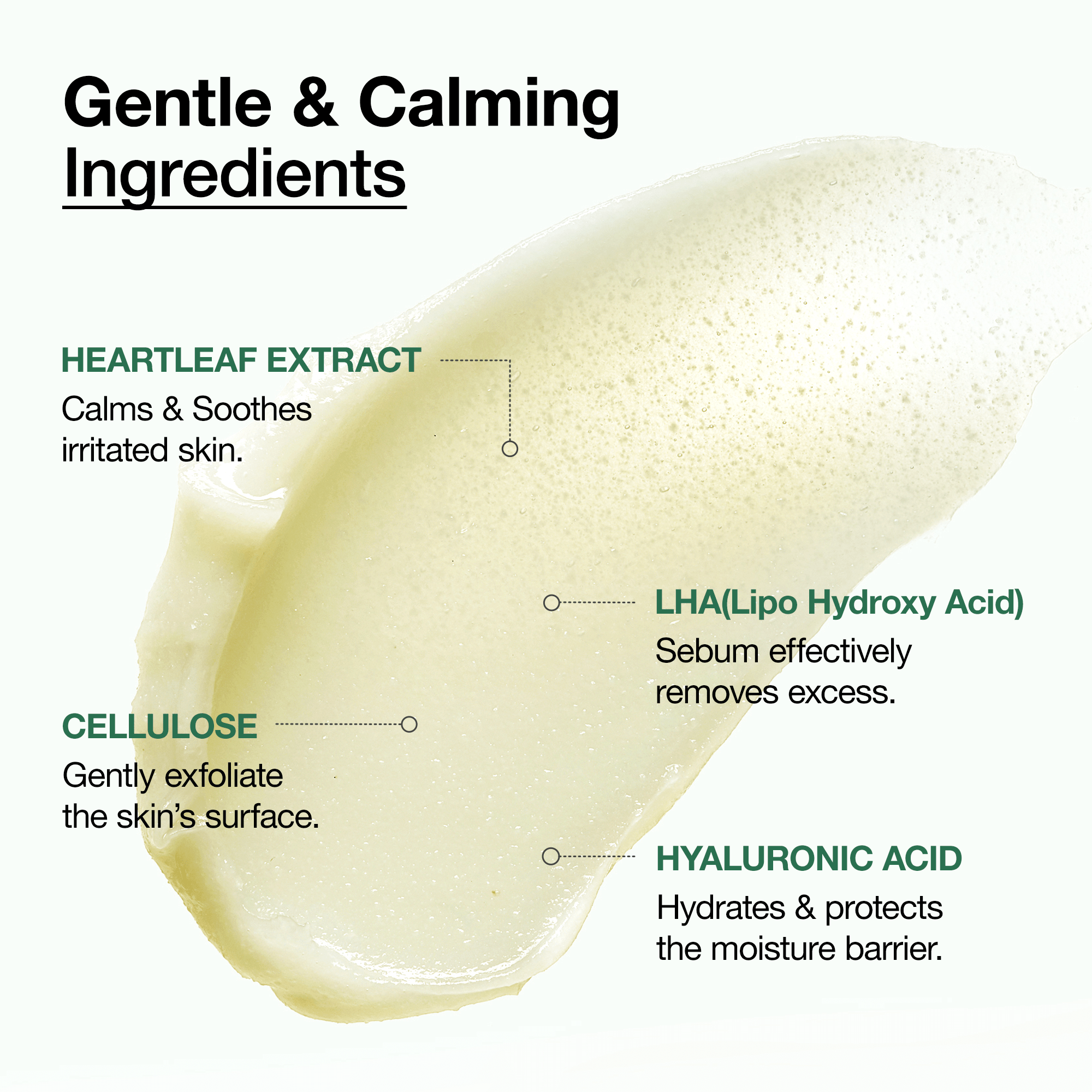 Anua US Cleanser 200ml Heartleaf LHA Moisture Peeling Gel