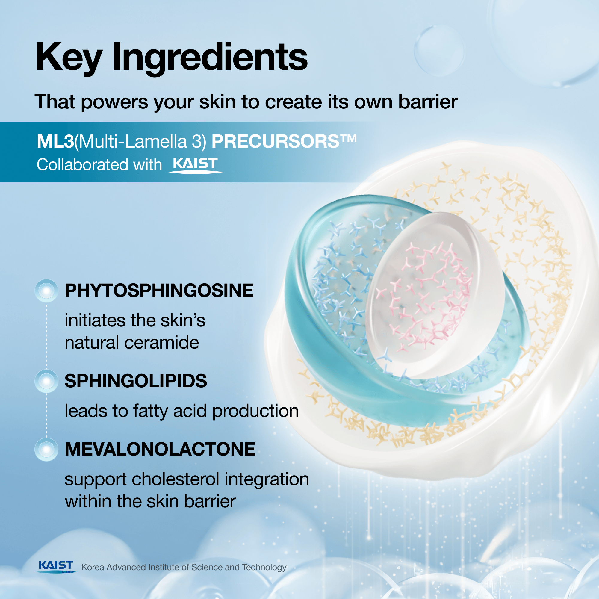 Anua US Moisturizer Barrier Reboot™ Intensive Cream