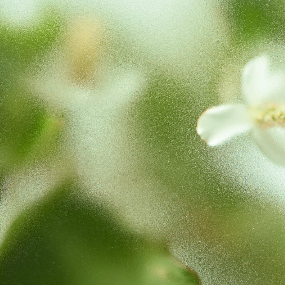 5-1. Heartleaf
