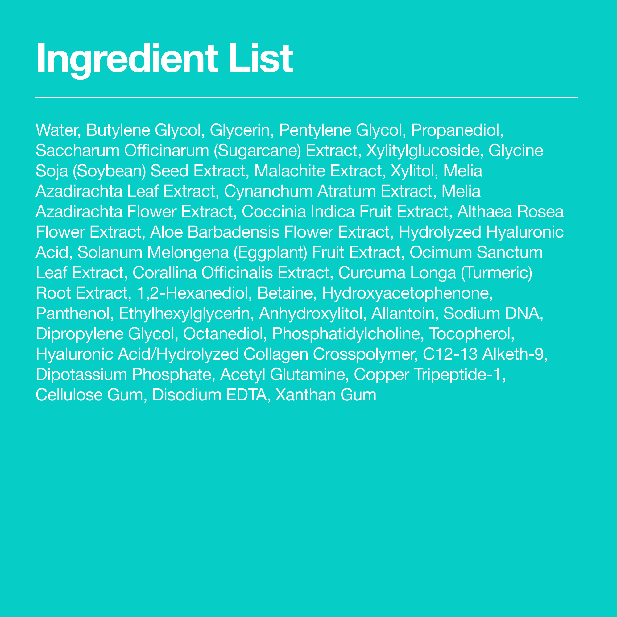 Anua US Toner PDRN 100 Hyaluronic Acid Booster Toner